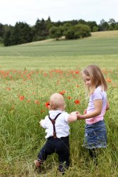 gallery/auswahl_mohn_1